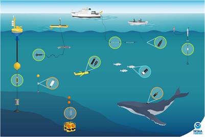 NOAA and BOEM Minimum Recommendations for Use of Passive Acoustic Listening Systems in Offshore Wind Energy Development Monitoring and Mitigation Programs